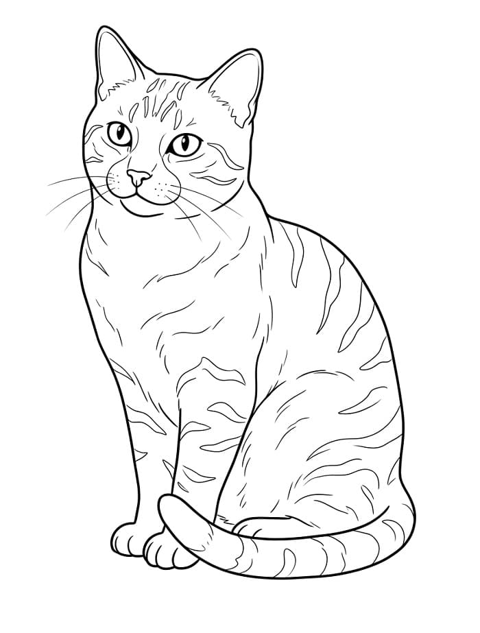 Realistische Kat
