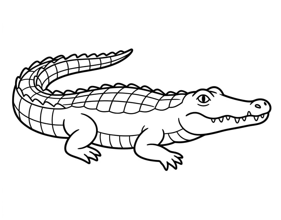 Realistische Krokodil