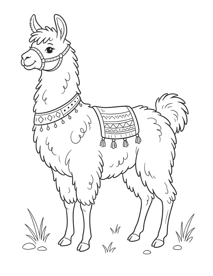 Realistische lama