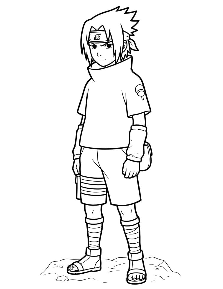 Sasuke kosteloos