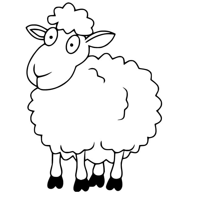 Schaap Gratis voor kinderen