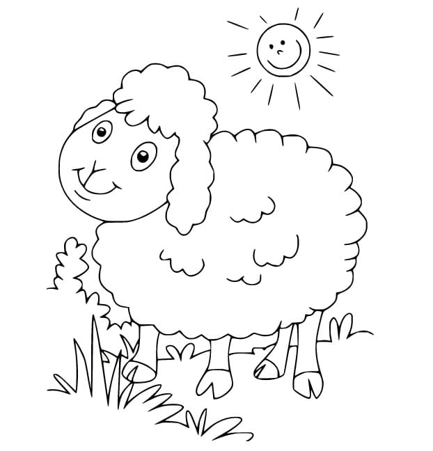 Schaap afbeelding