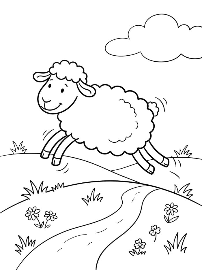 Schaap