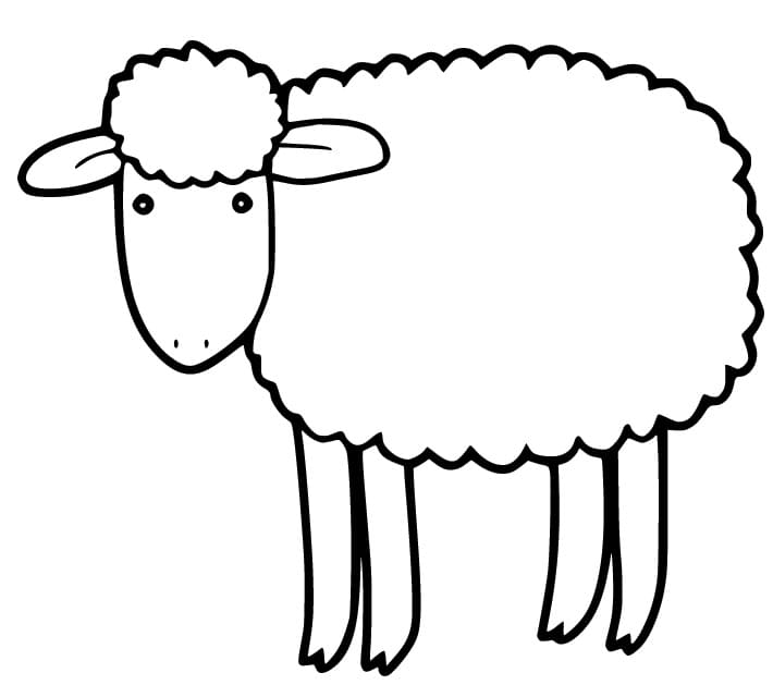 Schaap voor kinderen van 2 jaar