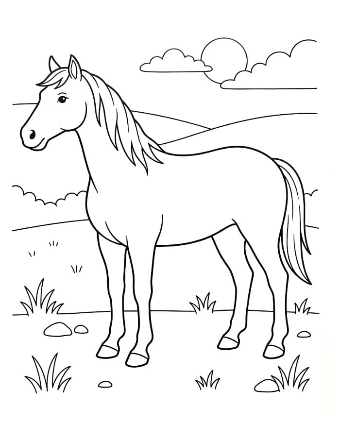 Schattig Paard