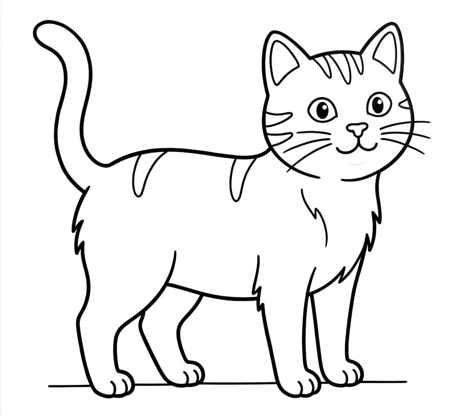 Schattige Kat