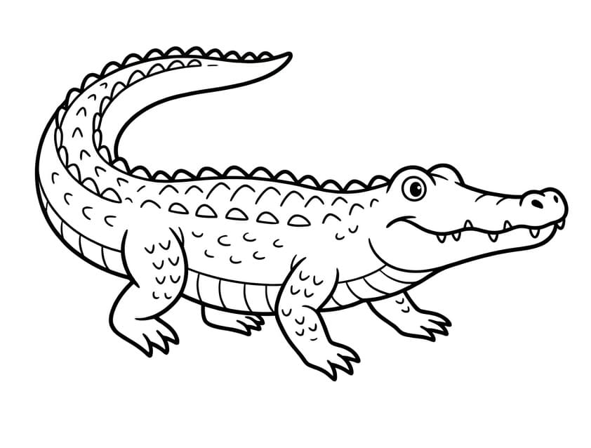 Schattige Krokodil
