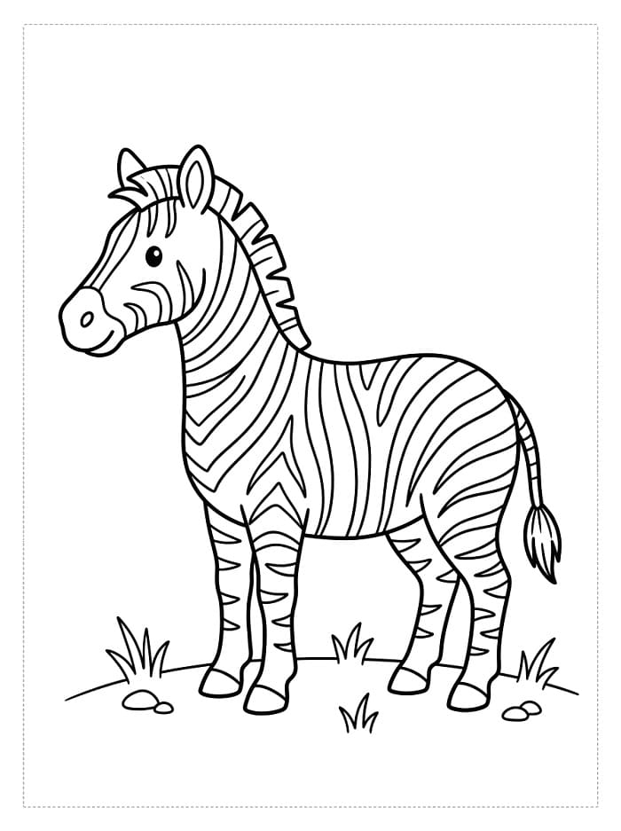 Schattige Zebra