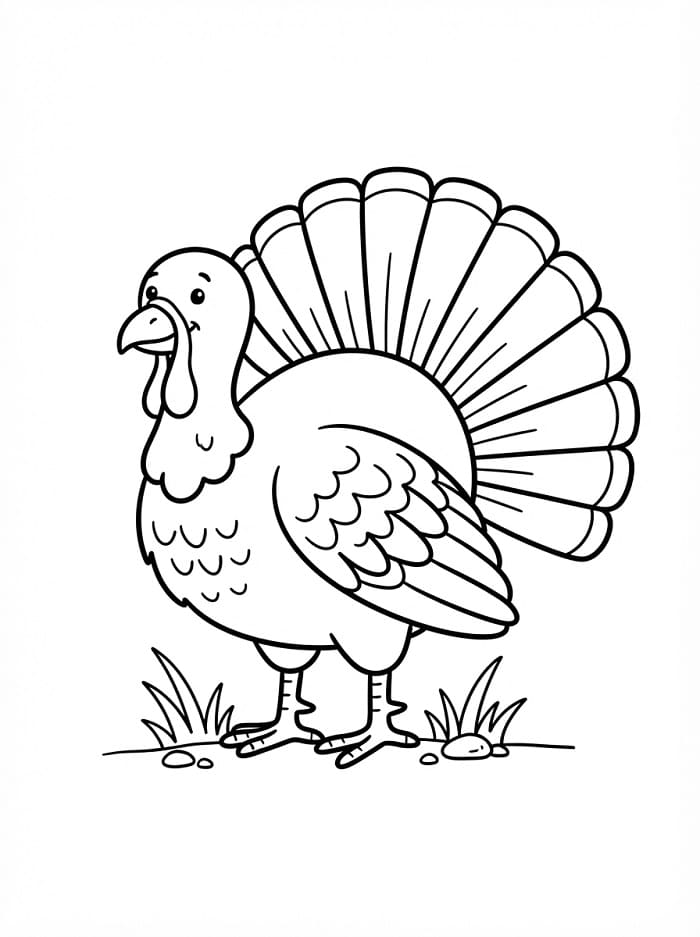 Schattige kalkoen