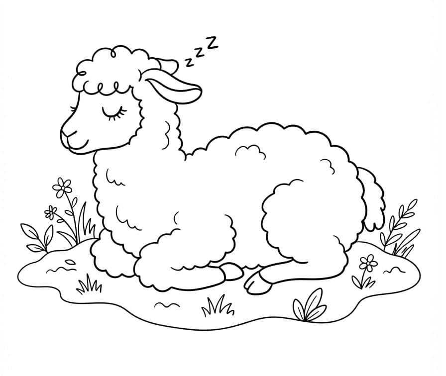 Slapende lama
