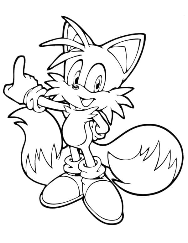Sonic afbeelding