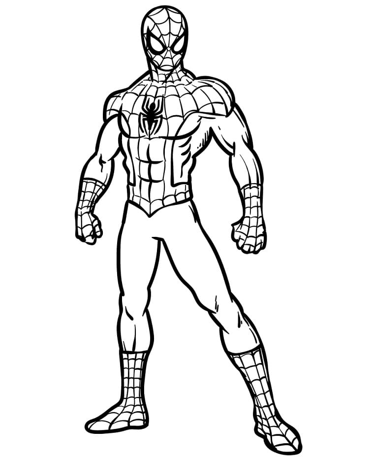 Spiderman om te printen