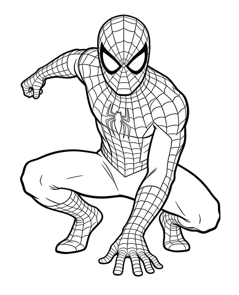 Spiderman van Marvel Avengers
