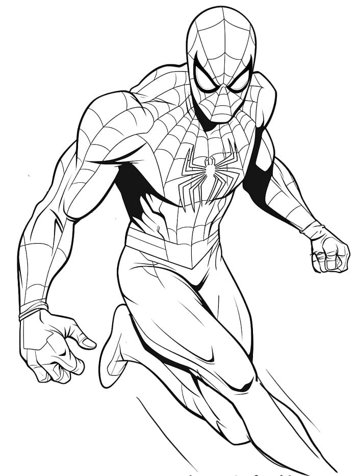 Spiderman voor gratis gebruik