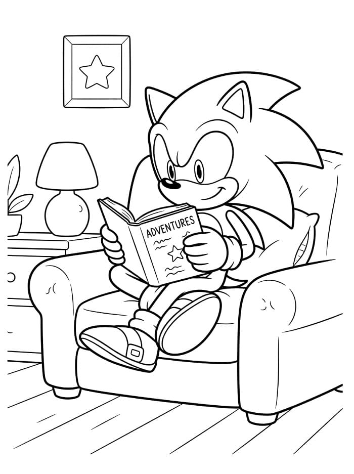 Stoere Sonic