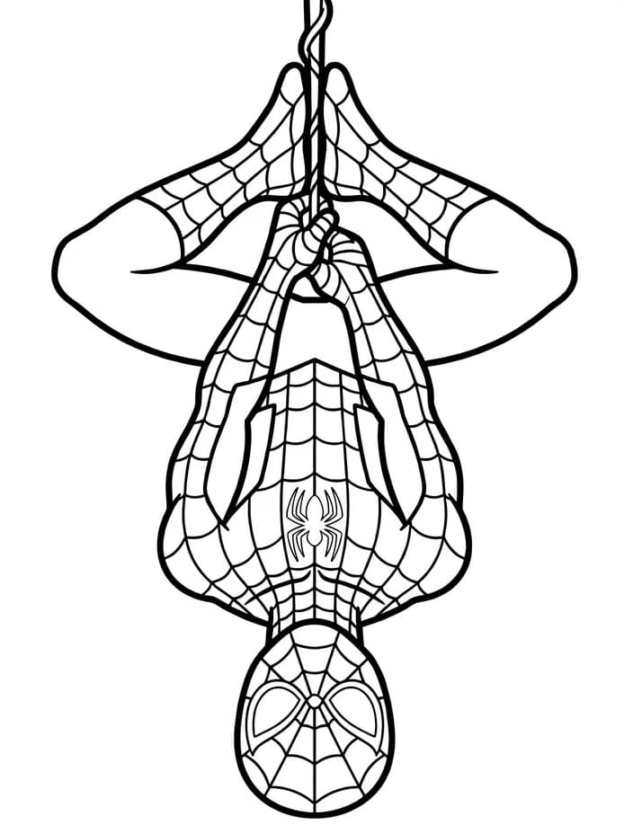 Stoere Spiderman