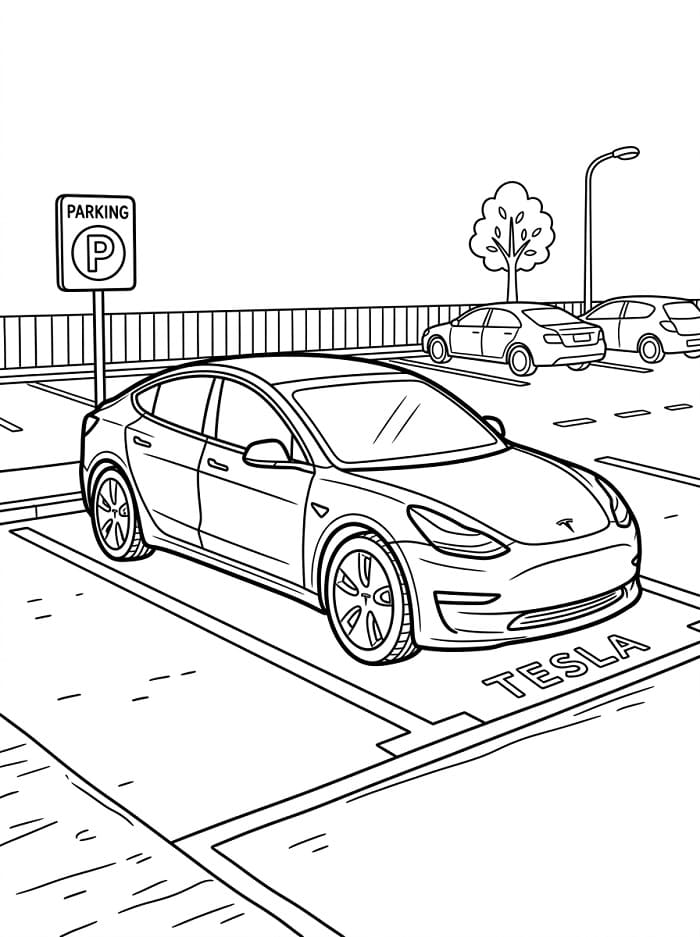Tesla om te printen