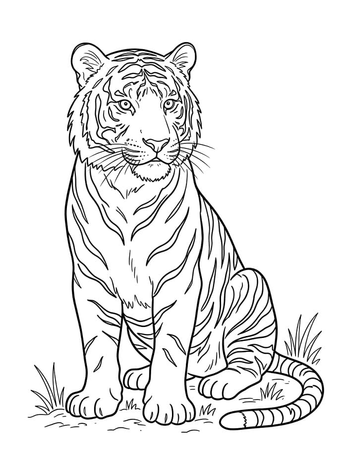 Tijger in het Wild