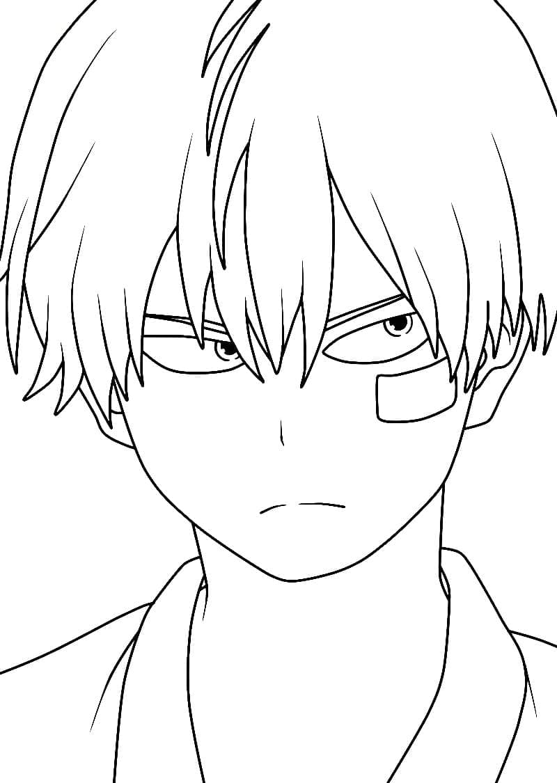 Todoroki gratis te printen