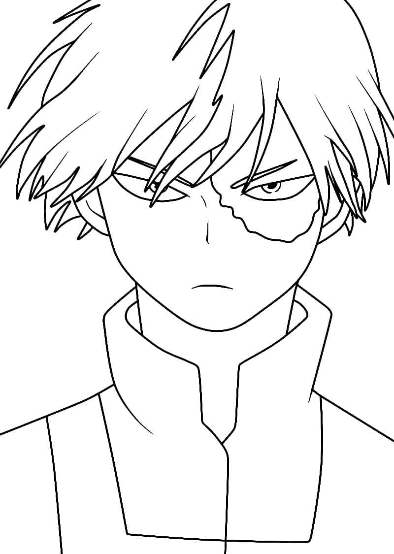 Todoroki printen