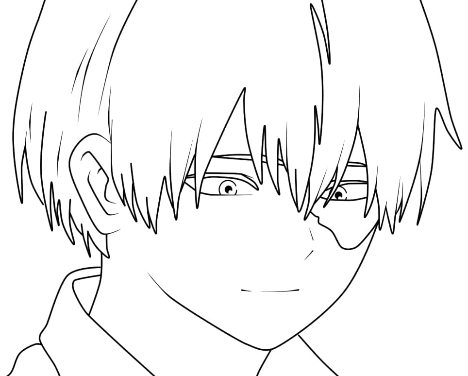 Todoroki voor kinderen