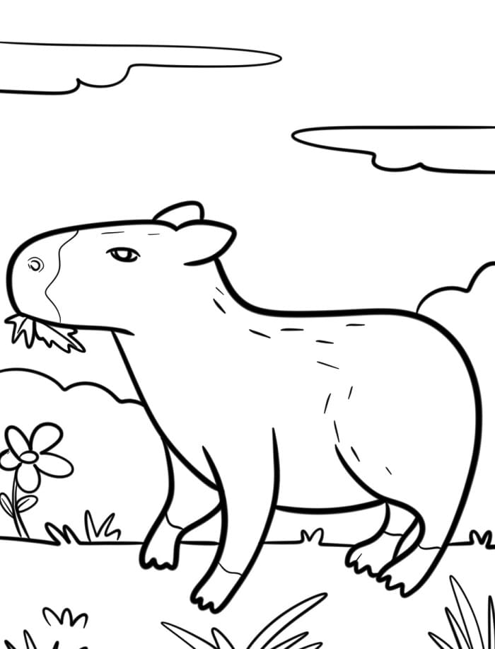 Vertederende Capibara
