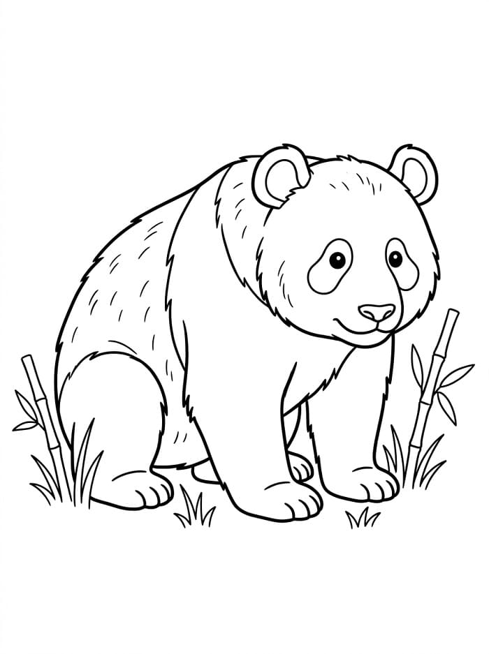 Vertederende Panda