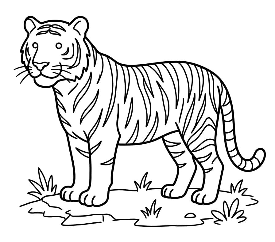 Vertederende Tijger