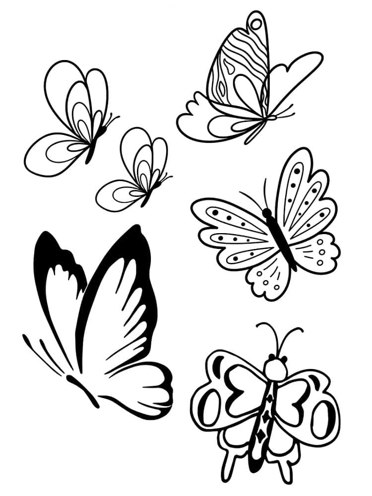 Vlinder 1