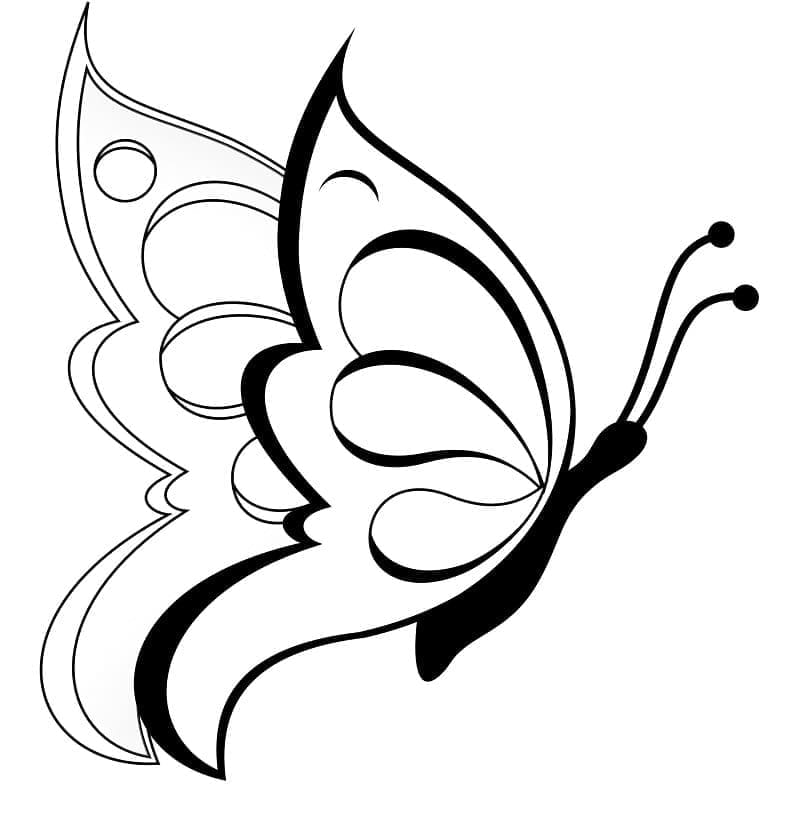 Vlinder Afbeelding