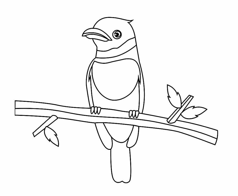 Vogel 1