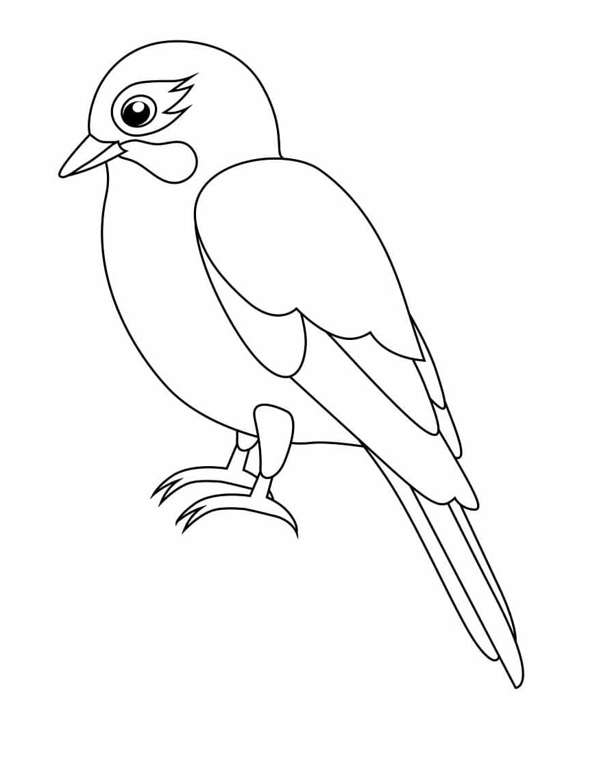 Vogel 2