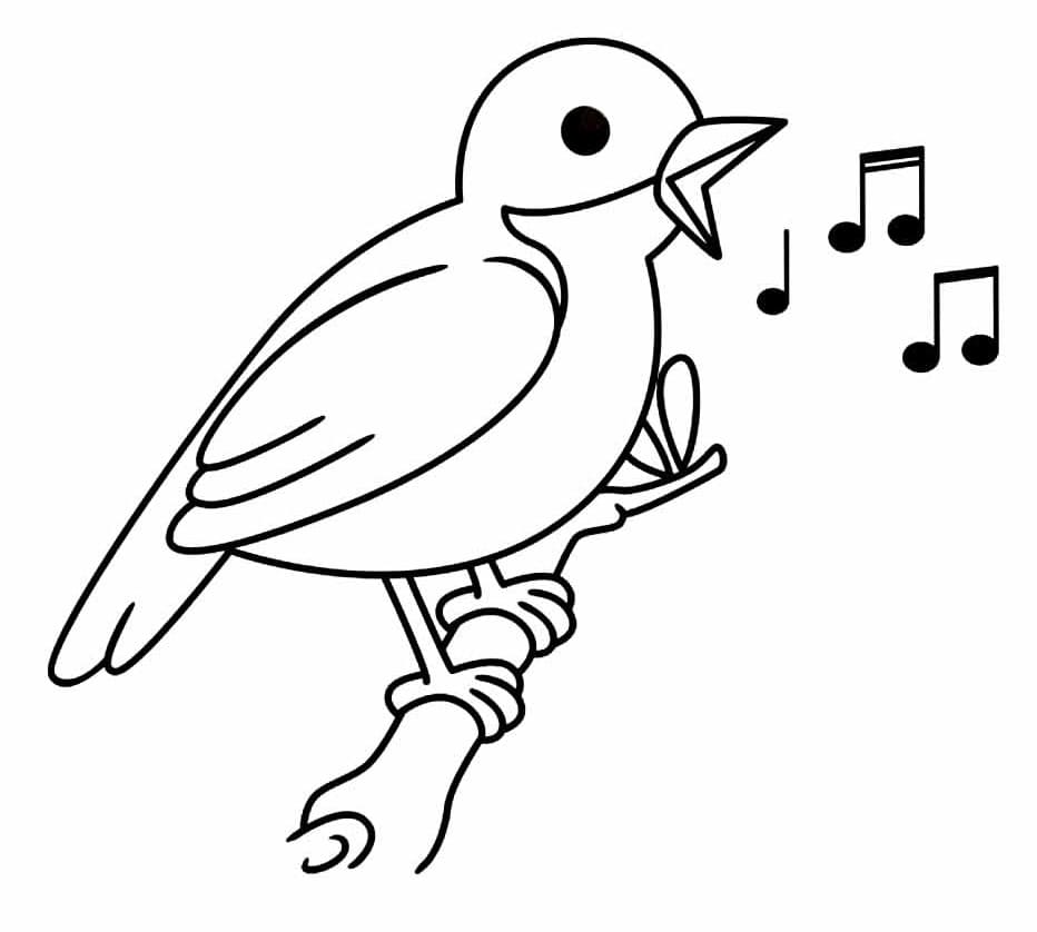 Vogel 3