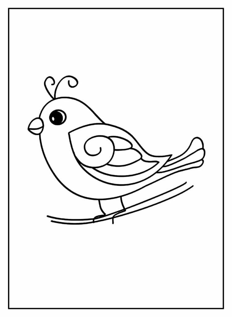 Vogel 4