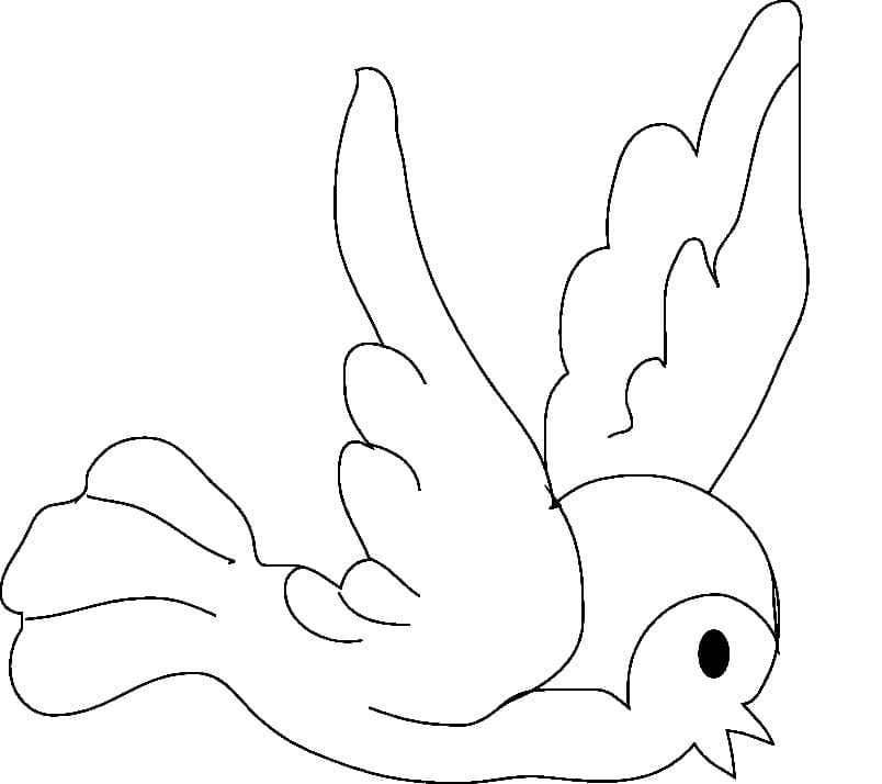 Vogel Afbeelding