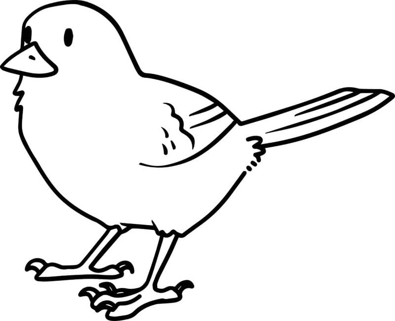 Vogel Gratis