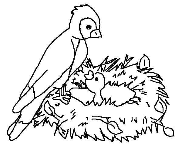 Vogel Zonder Kosten