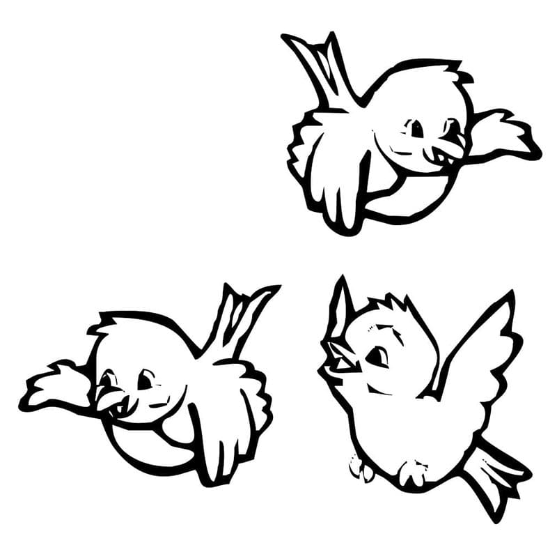 Vogel om Uit te Printen