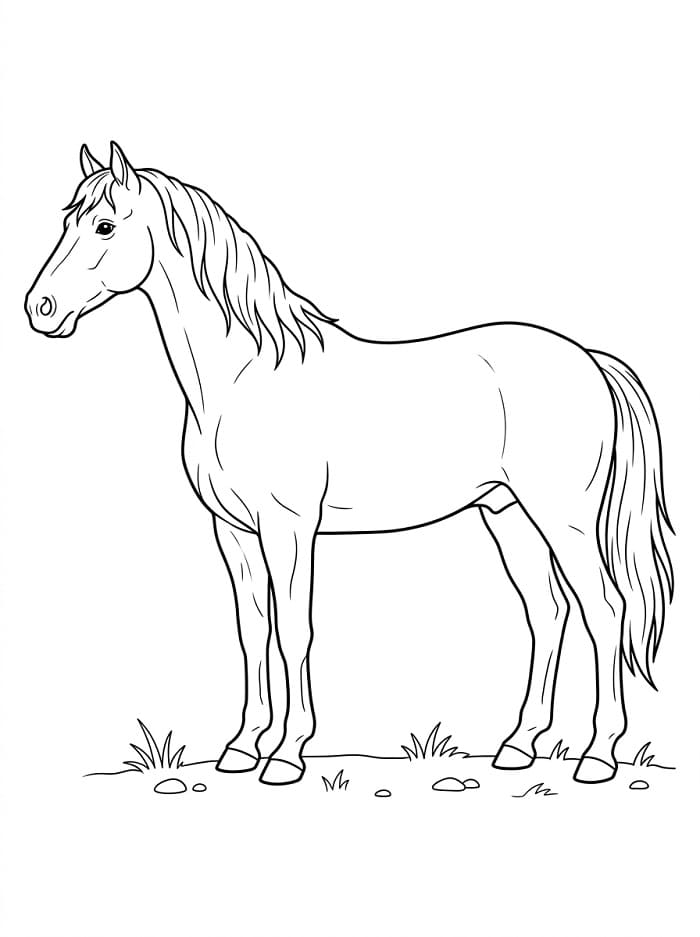 Vriendelijk Paard