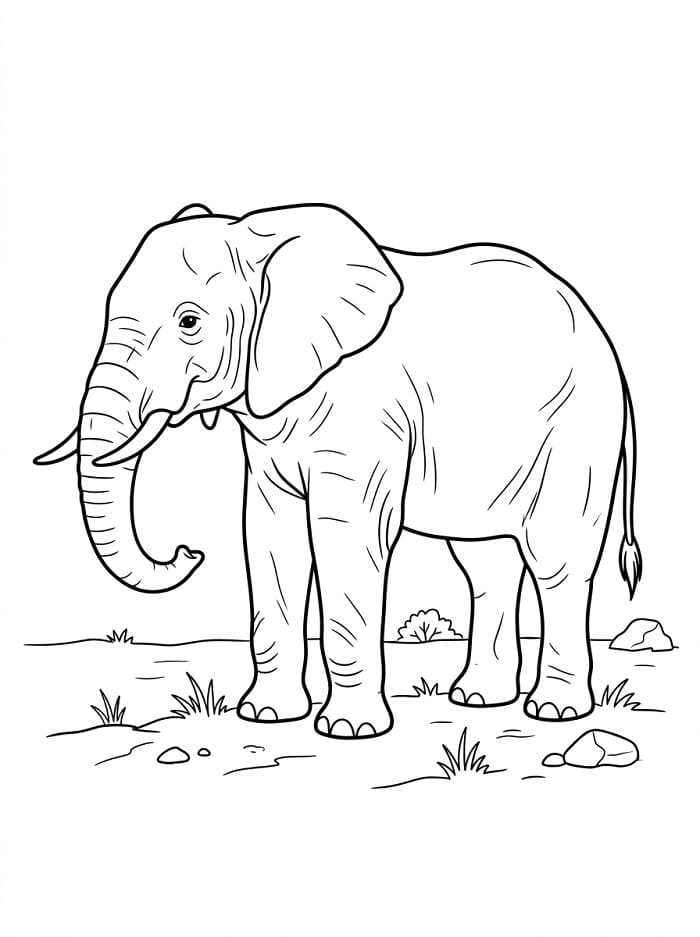 Wilde Olifant