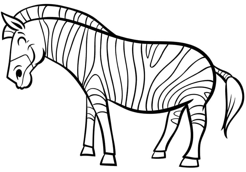 Zebra Afbeelding
