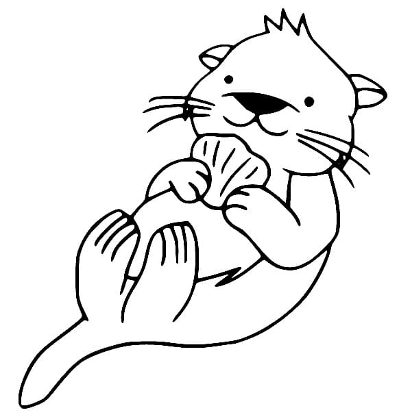 Baby-otter