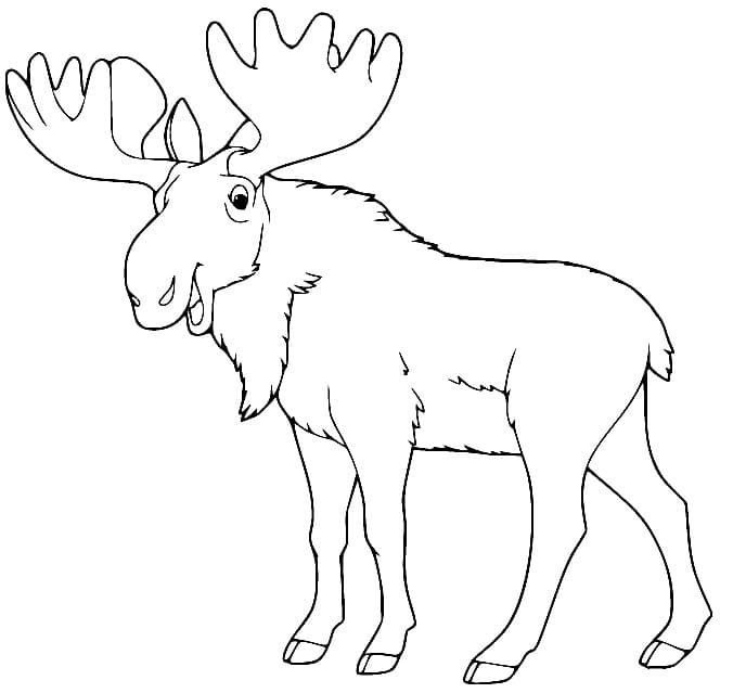 Blije eland