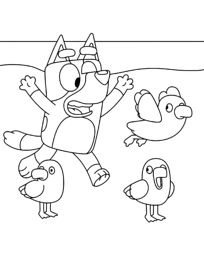 Bluey en vogels