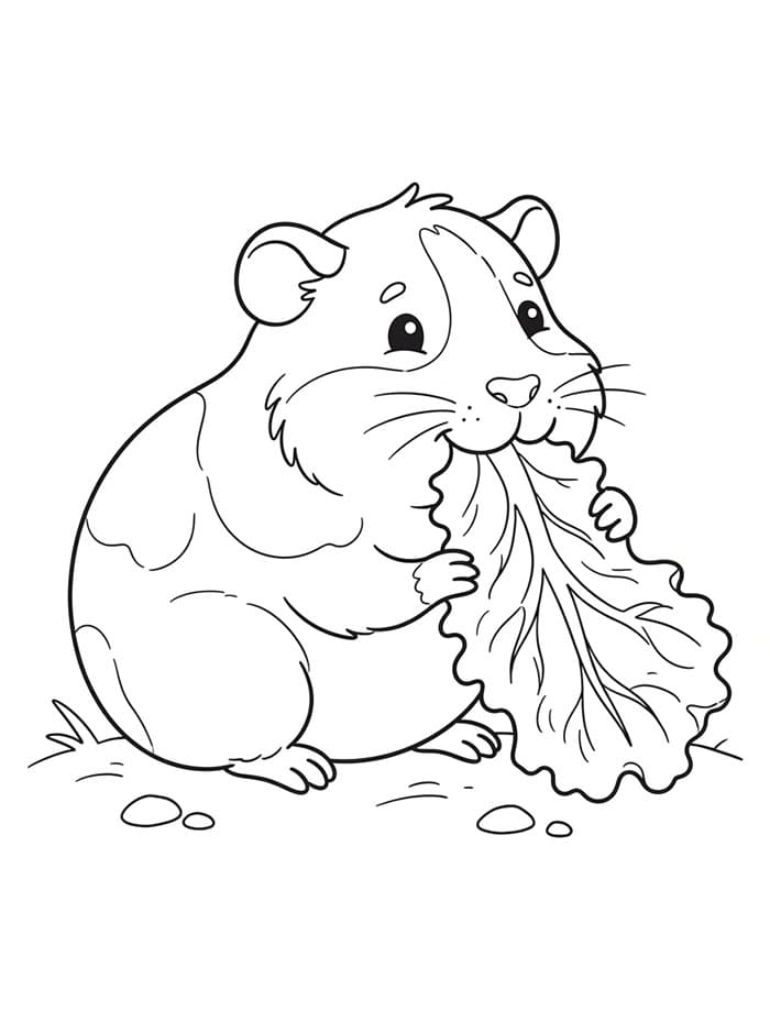 Cavia eet blad