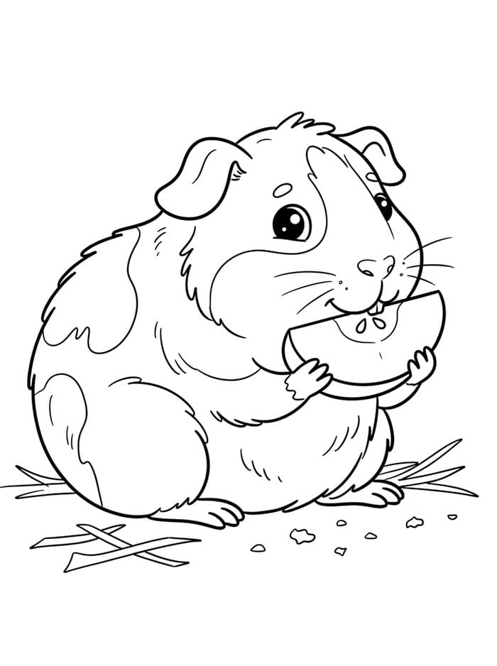 Cavia eet fruit