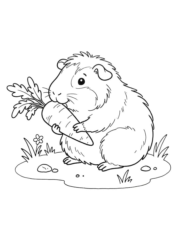 Cavia eet wortel