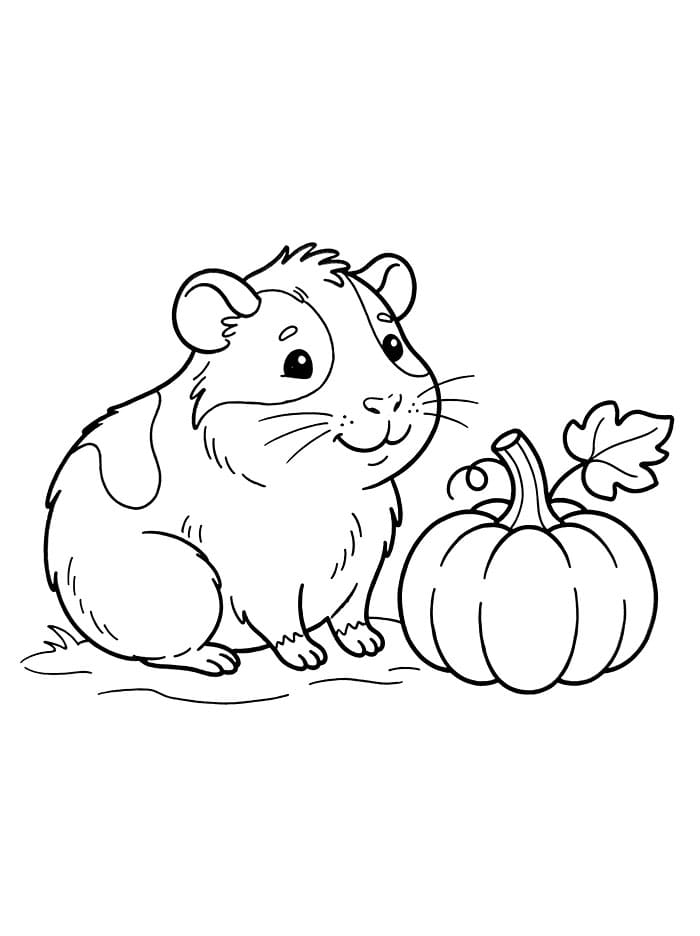 Cavia en een pompoen