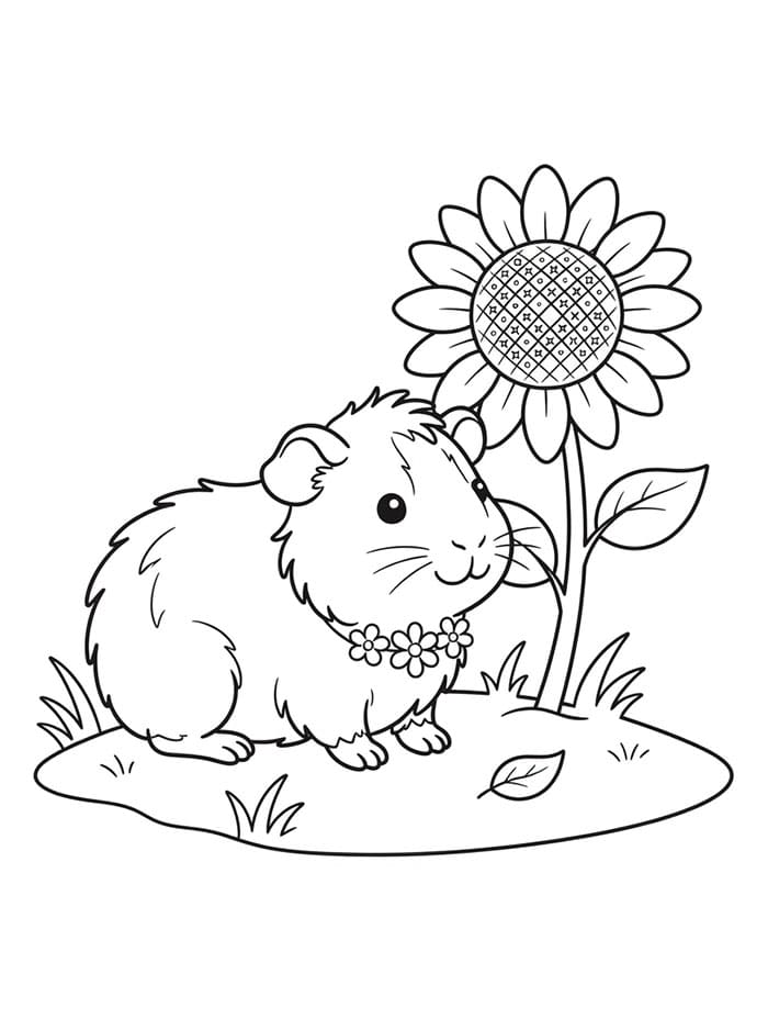 Cavia en zonnebloem