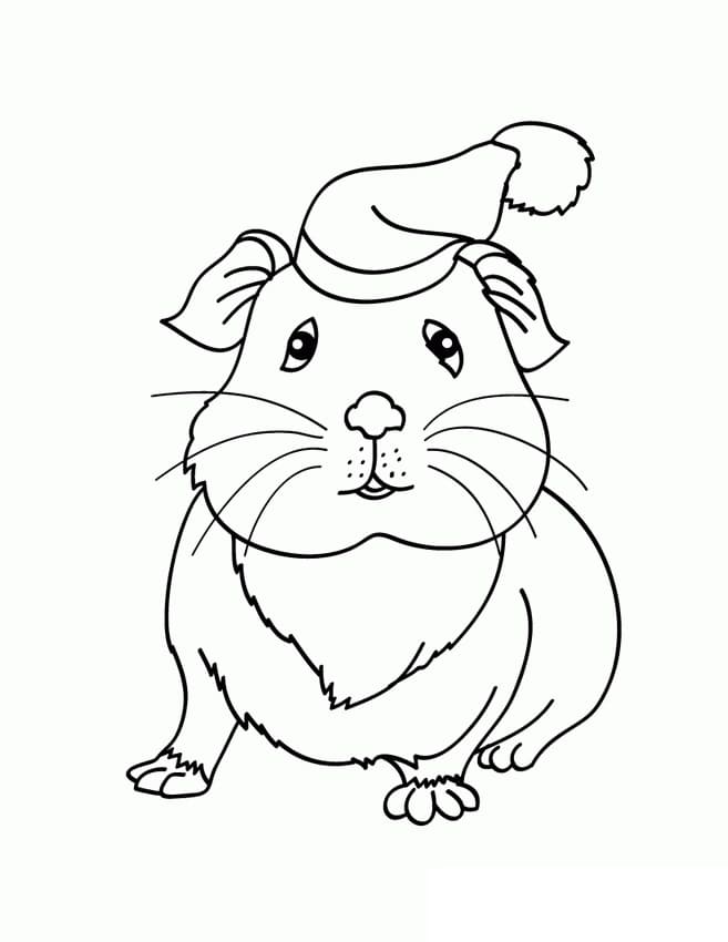 Cavia gratis te printen